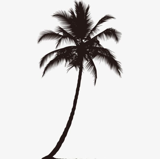 Coconut Trees Silhouette PNG, Clipart, Backgrounds, Beach, Black, Coco, Coconut Clipart Free PNG Download