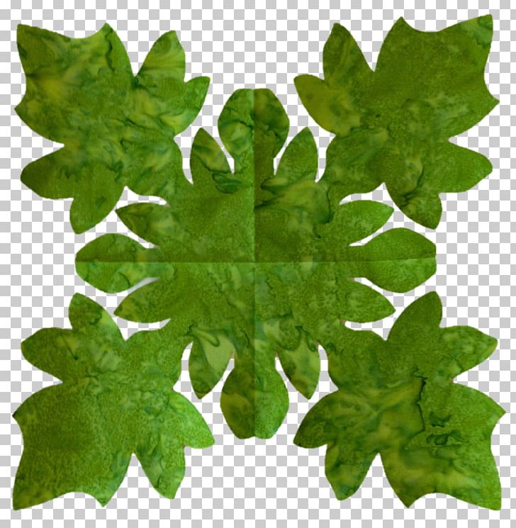 Plant Leaf Tree PNG, Clipart, Food Drinks, Ivy, Leaf, Plant, Tree Free PNG Download