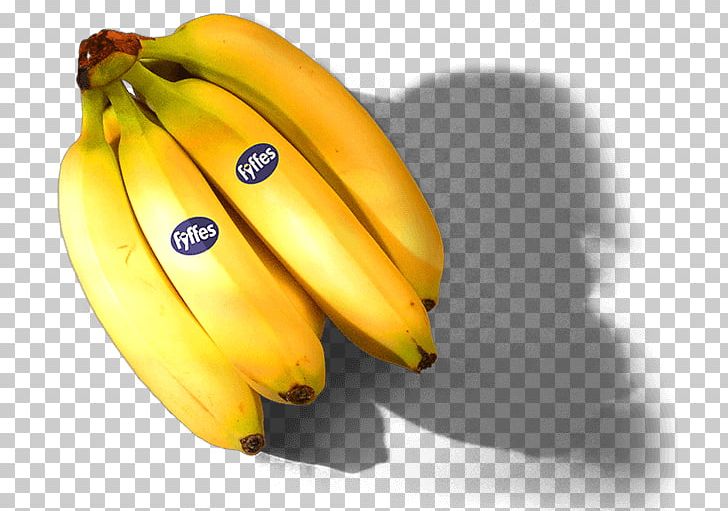 Saba Banana Cooking Banana Fyffes Chiquita Brands International PNG, Clipart, Banana, Banana Family, Chiquita Brands International, Cooking, Cooking Banana Free PNG Download