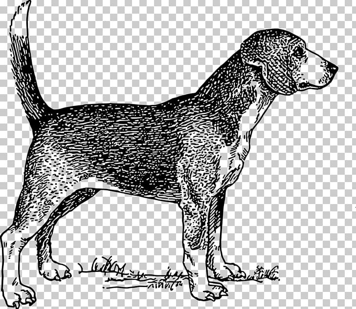 Beagle Labrador Retriever Puppy Pet Sitting PNG, Clipart, American Foxhound, Animals, Beagle, Beagle Dog, Bla Free PNG Download