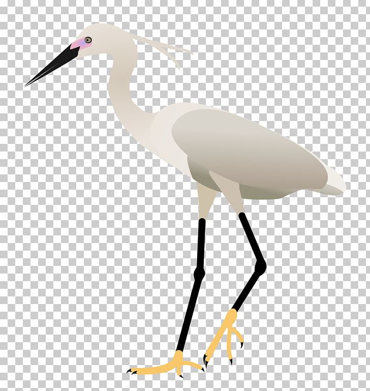 Bird Egret Pelican White Stork Crane PNG, Clipart, Animals, Ardea, Beak, Bird, Child Free PNG Download