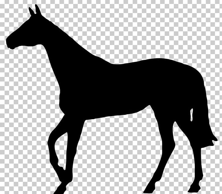 Thoroughbred Pony Silhouette Horse Racing PNG, Clipart, Black And White, Bridle, Colt, English Riding, Equestrian Free PNG Download