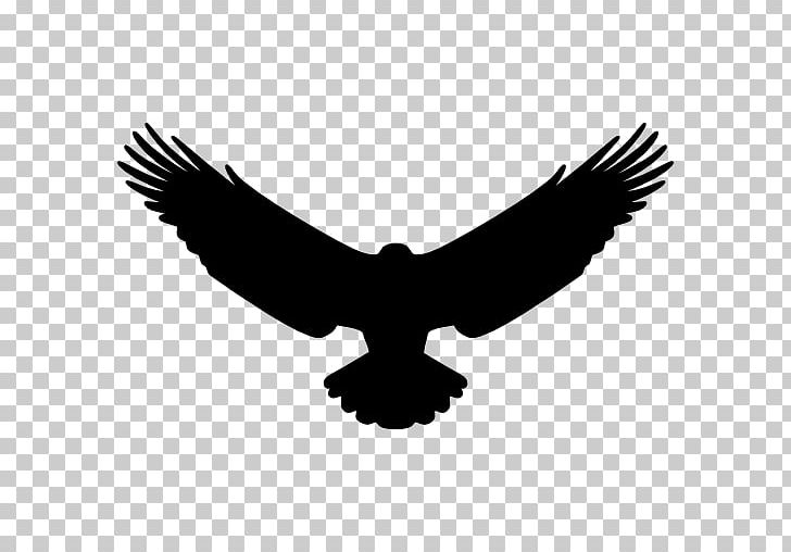 Bird Computer Icons Eagle PNG, Clipart, Accipitriformes, Animals, Beak, Bird, Bird Of Prey Free PNG Download