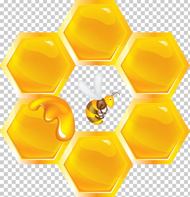 Honey Bee Honeycomb Insect PNG, Clipart, Bee, Beehive, Bumblebee, Honey, Honey Bee Free PNG Download
