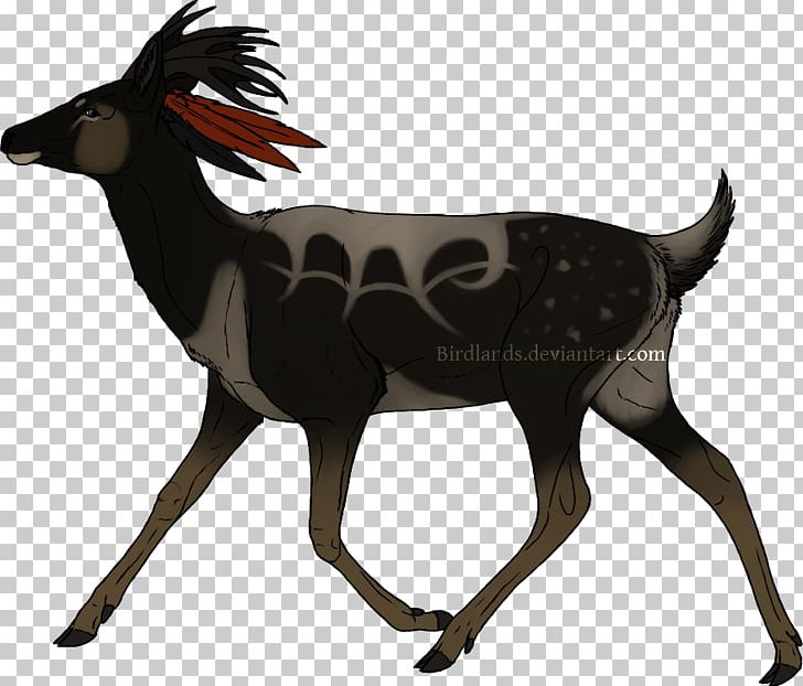 Red Deer Reindeer Roe Deer Moose PNG, Clipart, Animal, Animal Figure, Animals, Antelope, Antler Free PNG Download