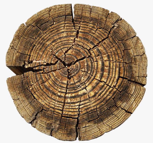 Tree Rings PNG, Clipart, Brown, Circle, Crack, Ring, Rings Free PNG Download
