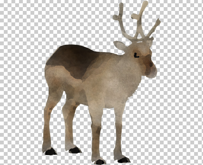 Reindeer PNG, Clipart, Animal Figure, Antelope, Antler, Deer, Elk Free PNG Download