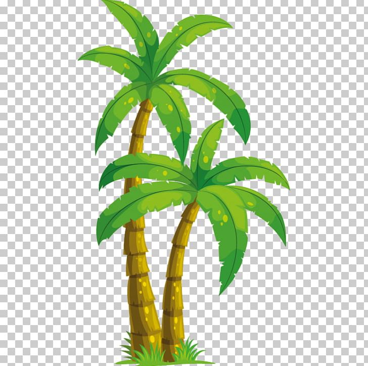 Arecaceae Coconut Drawing PNG, Clipart, Arecaceae, Arecales, Coconut, Drawing, Flowerpot Free PNG Download