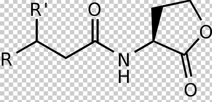 Carboxylic Acid Acetohydroxamic Acid Amino Acid Acetic Acid PNG, Clipart, Acetic Acid, Acid, Amino Acid, Angle, Anthranilic Acid Free PNG Download