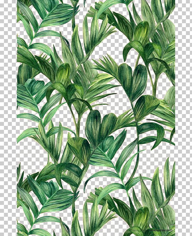 Leaf Green Electric Arches PNG, Clipart, Arrowroot Family, Background, Clothing, Clothing Printed Pattern, Color Free PNG Download