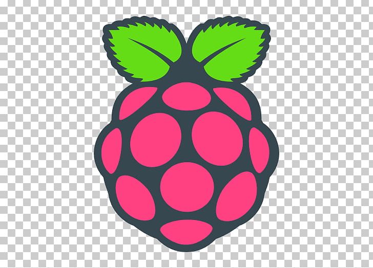 Raspberry Pi Foundation Computer Raspbian Arduino PNG, Clipart, Adafruit Industries, Camera, Camera Module, Circle, Computer Free PNG Download