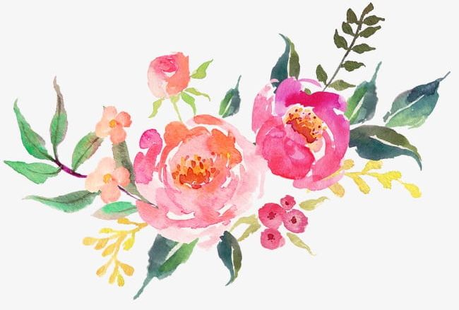 Beautiful Fresh Flowers Watercolor PNG, Clipart, Beautiful Clipart, Elegant, Flower, Flowers Clipart, Fresh Clipart Free PNG Download