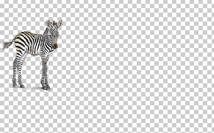 Kangal Dog Foal Zebra Horse Quagga PNG, Clipart, Animal, Animal Figure, Animals, Bedroom, Black And White Free PNG Download