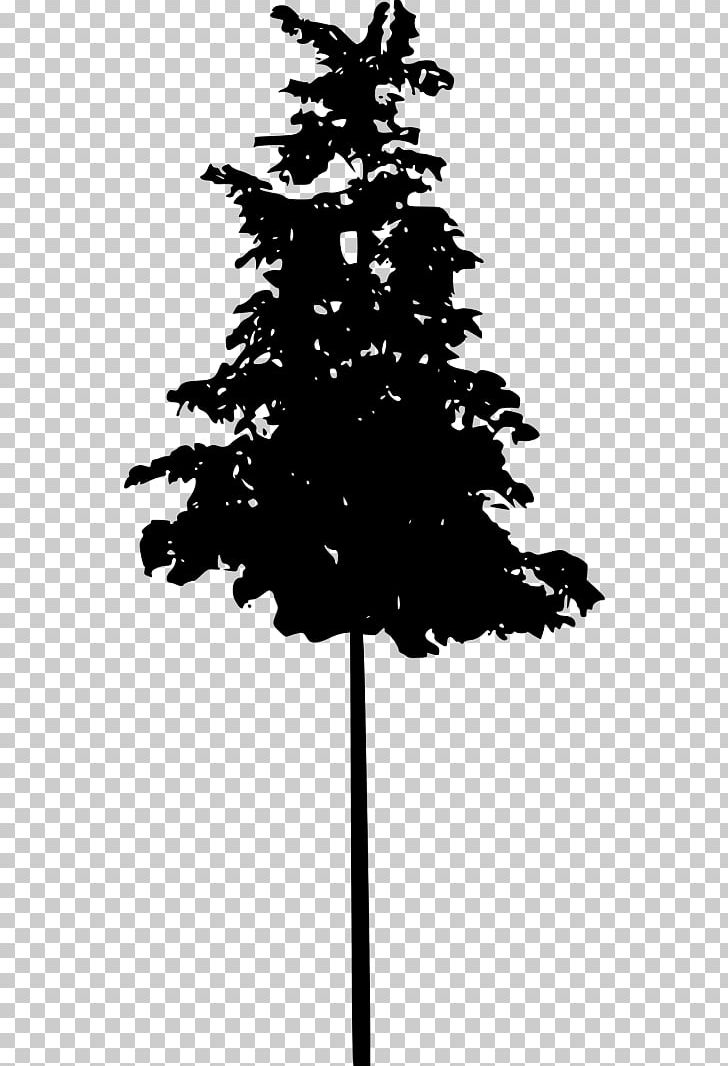 Spruce Fir Pine Silhouette Black And White PNG, Clipart, Animals, Black And White, Branch, Christmas Decoration, Christmas Ornament Free PNG Download