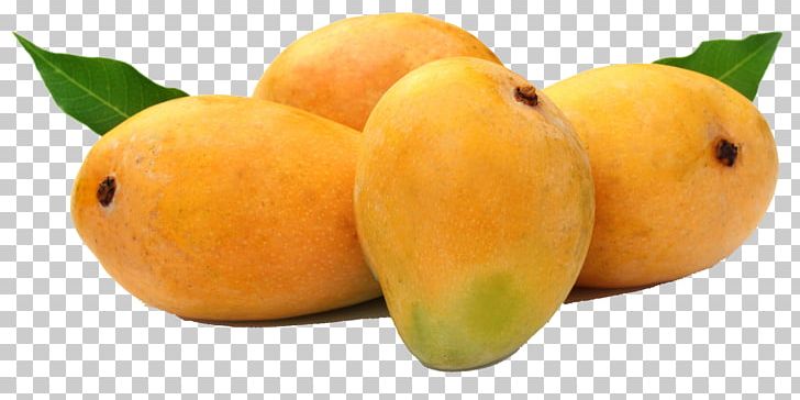 Alphonso Mango Fruit Devgad Taluka Organic Food PNG, Clipart, Alphonso, Apricot, Citrus, Cultivar, Devgad Taluka Free PNG Download