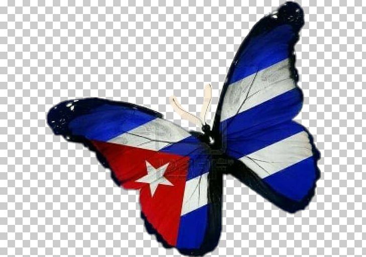 Flag Of Cuba Butterfly Stock Photography PNG, Clipart, Bar, Butterflies And Moths, Butterfly, Cafe, Cuba Free PNG Download