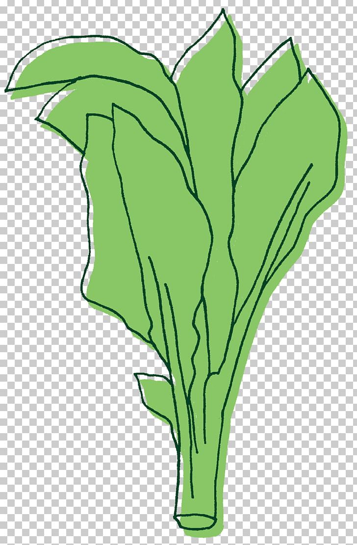 Leaf Illustration Rotisserie Chicken Greens PNG, Clipart, Artwork, Chicken As Food, Flower, Flowering Plant, Food Free PNG Download