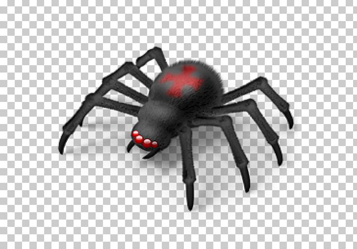 Spider Computer Icons Portable Network Graphics PNG, Clipart, Arachnid, Arthropod, Black Widow, Computer Icons, Computer Network Free PNG Download
