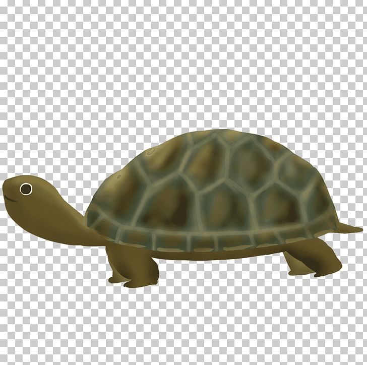 Box Turtles Tortoise Sea Turtle PNG, Clipart, Animal, Animals, Box Turtle, Box Turtles, Emydidae Free PNG Download