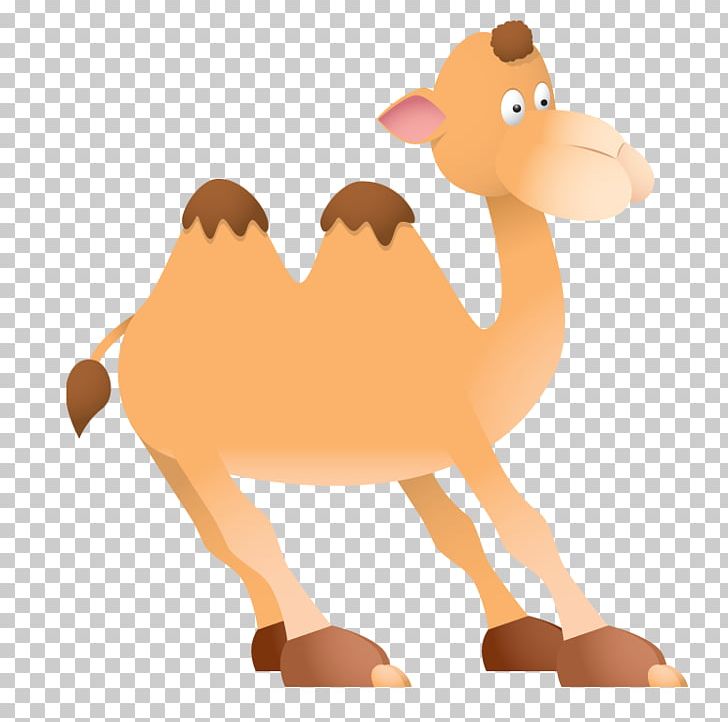 Dromedary Bactrian Camel PNG, Clipart, Animal Figure, Arabian Camel, Art, Bactrian Camel, Camel Free PNG Download