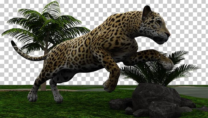 Leopard Jaguar Cars Felidae Tiger PNG, Clipart, Animals, Big Cat, Big Cats, Cat, Cat Like Mammal Free PNG Download