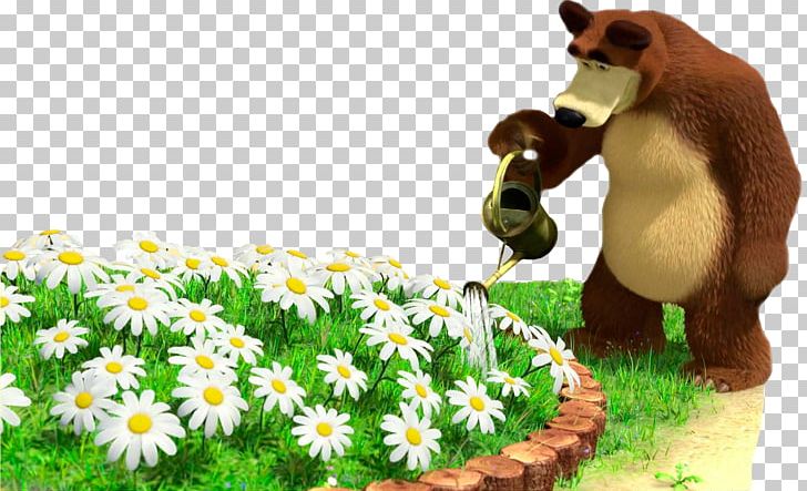 Masha Bear Flower Animation PNG, Clipart, Animals, Animation, Bear, Child, Clip Art Free PNG Download