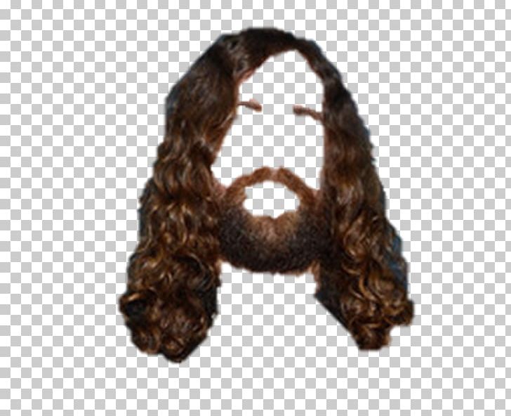 Wig Hairstyle PNG, Clipart, Beard, Computer Software, Facial Hair, Fur, Hair Free PNG Download