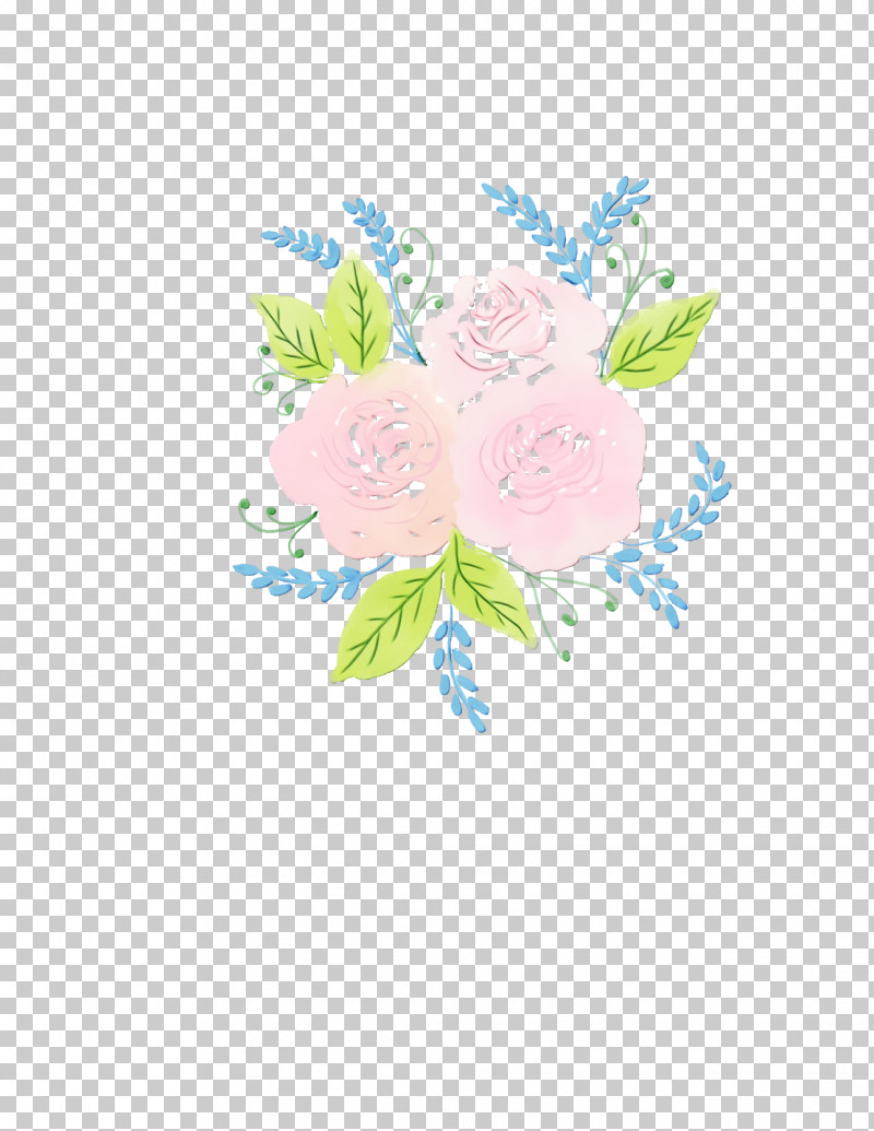 Pink Flower Plant Petal Cut Flowers PNG, Clipart, Cut Flowers, Flower, Paint, Petal, Pink Free PNG Download