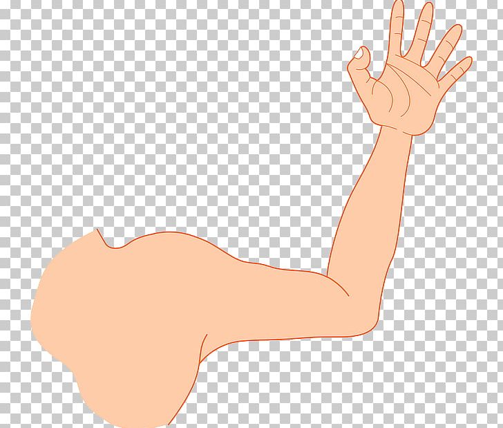 Arm PNG, Clipart, Arm, Cartoon, Ear, Elbow, Finger Free PNG Download