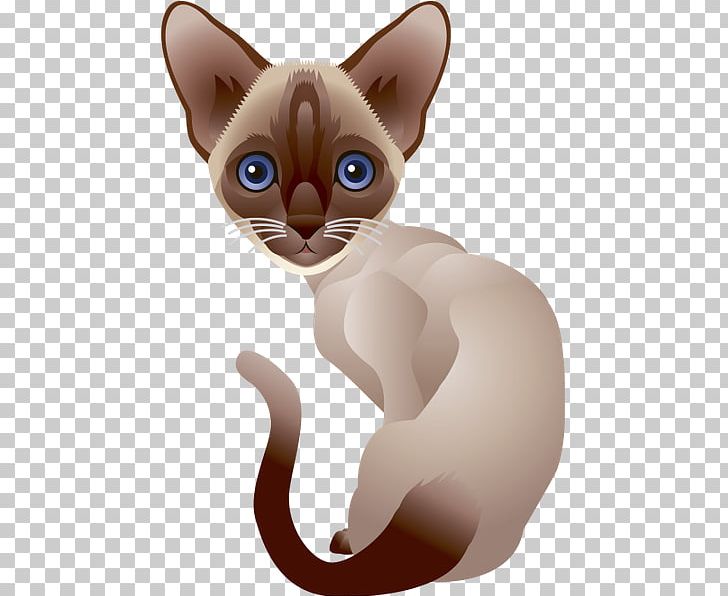 Cat Kitten PNG, Clipart, Animal, Animals, Burmese, Carnivoran, Cat Free PNG Download