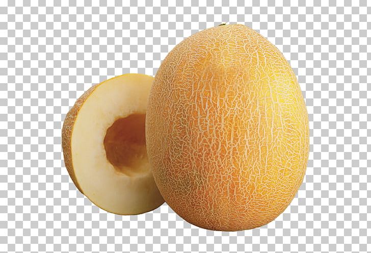 Honeydew Cantaloupe Galia Melon SGI SBC HEDGING TR SF PNG, Clipart, Cantaloupe, Cucumber Gourd And Melon Family, Food, Fruit, Galia Free PNG Download