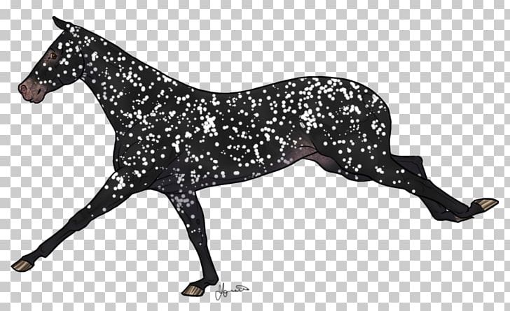 Mustang Appaloosa Rein Stallion Mare PNG, Clipart, Animal Figure, Appaloosa, Art, Black, Bridle Free PNG Download