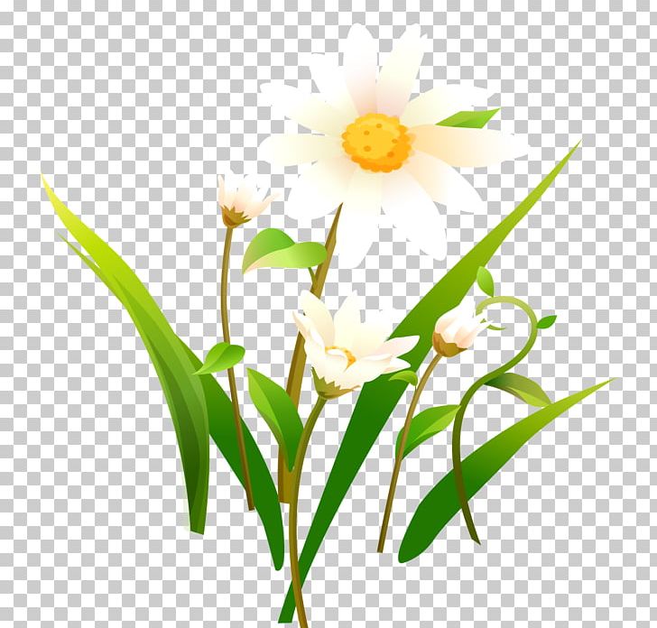 Chamomile Matricaria PNG, Clipart, Amaryllis Family, Branch, Camomile, Common Daisy, Cut Flowers Free PNG Download