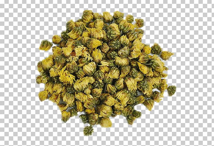 Chrysanthemum Tea Chrysanthemum Xd7grandiflorum Tongxiang Dendranthema Lavandulifolium PNG, Clipart, Bud, Chinese Herbology, Chrysanthemum, Chrysanthemum Chrysanthemum, Chrysanthemum Indicum Free PNG Download