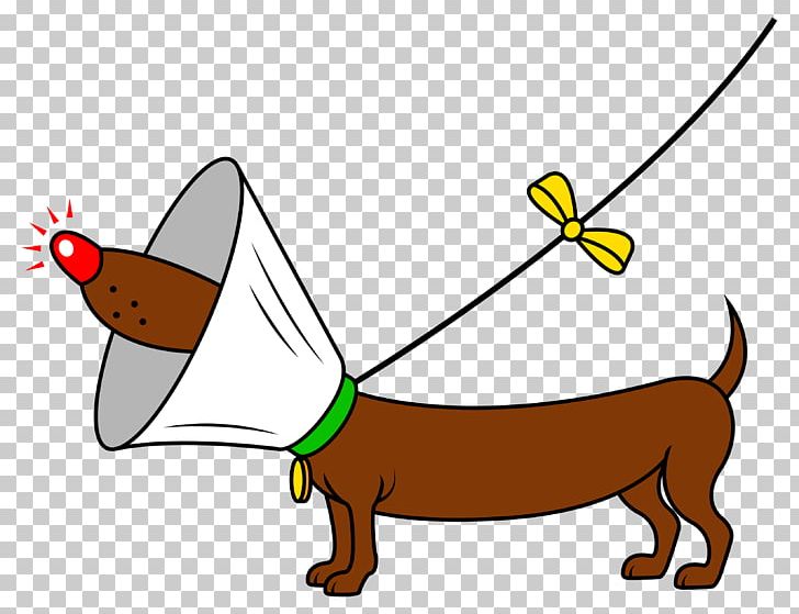 Dog Puppy Pet Leash Veterinarian PNG, Clipart, Angle, Animals, Area, Canidae, Carnivoran Free PNG Download