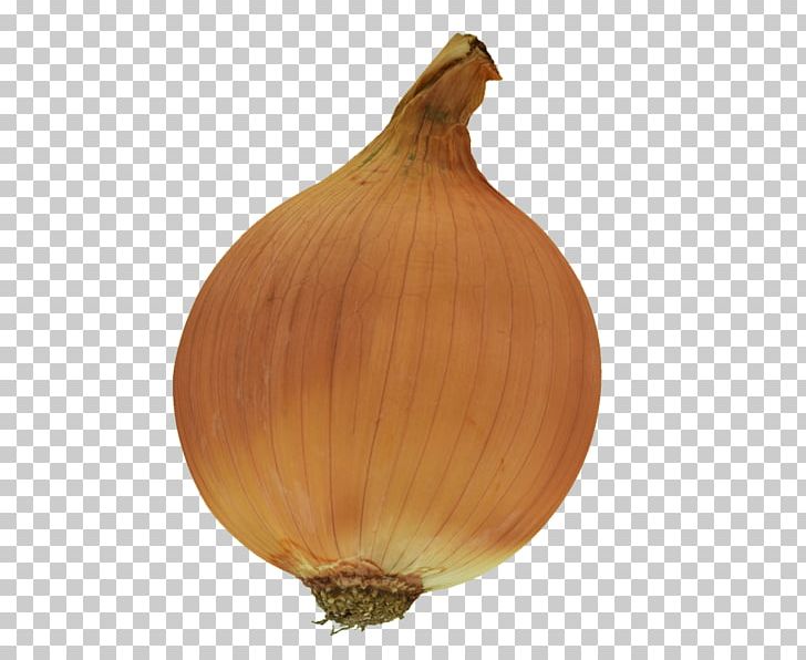 Yellow Onion Shallot Low Poly Normal Mapping PNG, Clipart, 3d Computer Graphics, Displacement Mapping, Food, Ingredient, Low Poly Free PNG Download