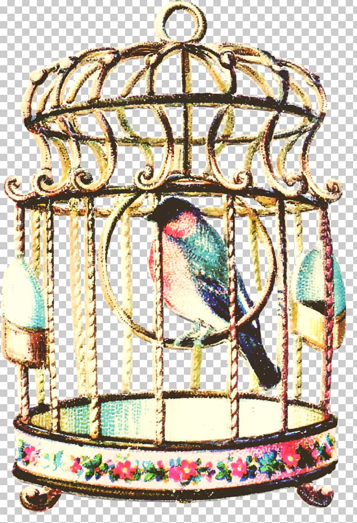 Birdcage Parrot Budgerigar PNG, Clipart, Antique, Bird, Bird Cage, Cage, Decorative Patterns Free PNG Download
