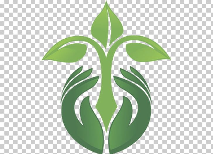 Plant in Box Logo Design | Eco logo design, Nature logo design, Plant logos