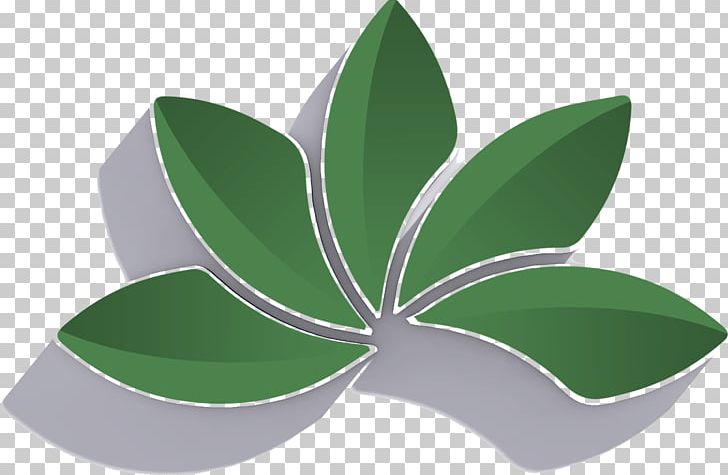 Leaf Symbol PNG, Clipart, Green, Leaf, Plant, Symbol Free PNG Download