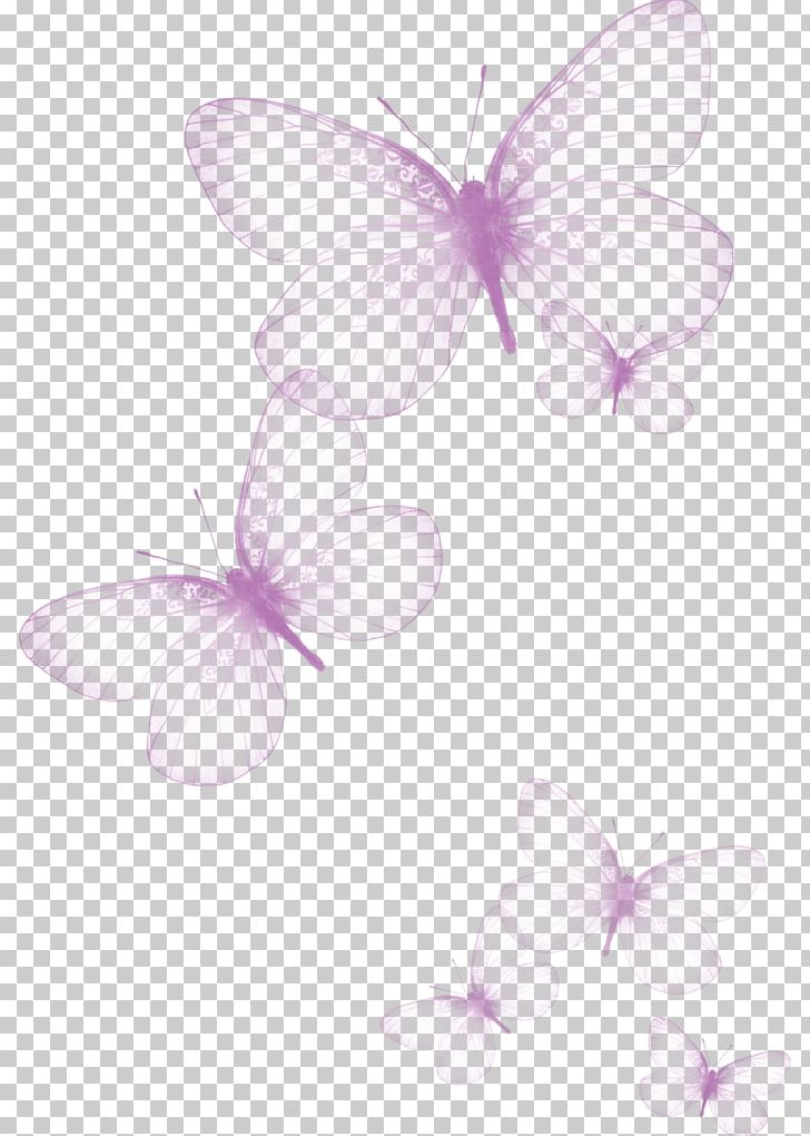 Butterfly Greta Oto PNG, Clipart, Beautiful, Beauty, Beauty Salon, Brush Footed Butterfly, Color Free PNG Download