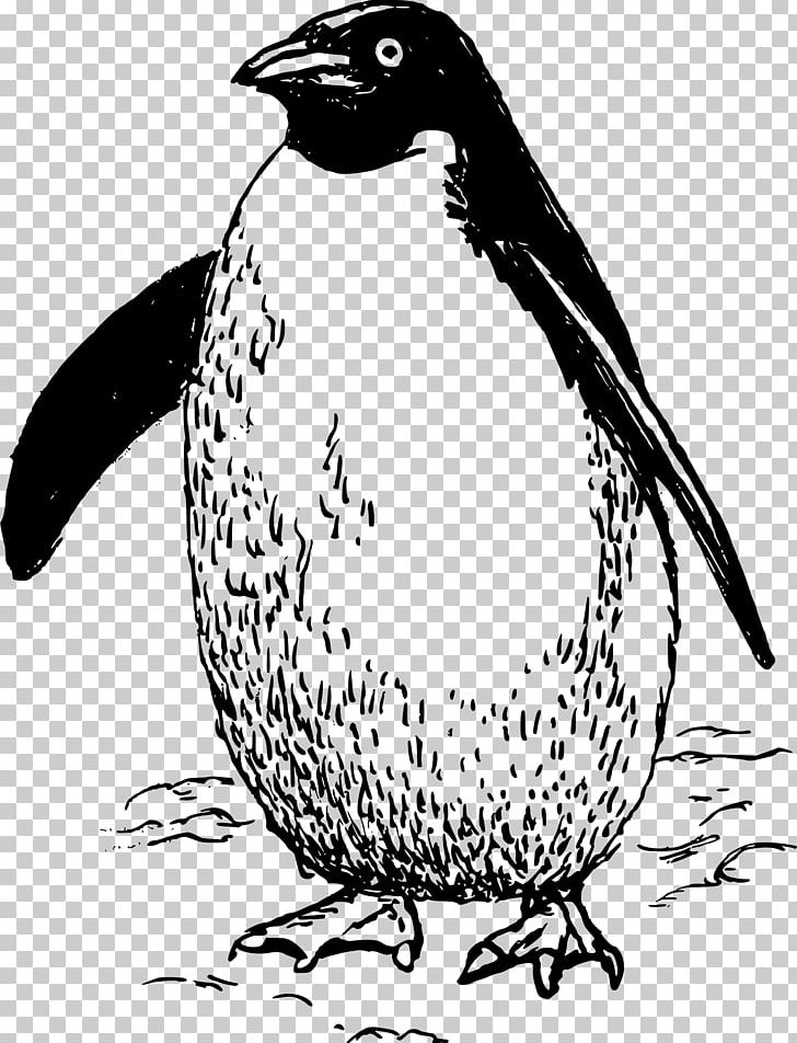 Penguin Line Art PNG, Clipart, Animals, Artwork, Beak, Bird, Black And White Free PNG Download