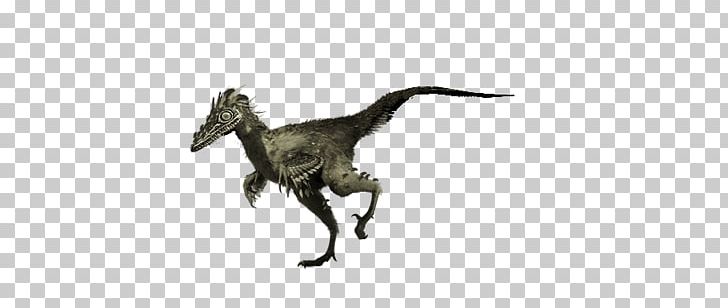 Velociraptor Tyrannosaurus White Animal PNG, Clipart, Animal, Animal Figure, Black And White, Dinosaur, Troodon Free PNG Download
