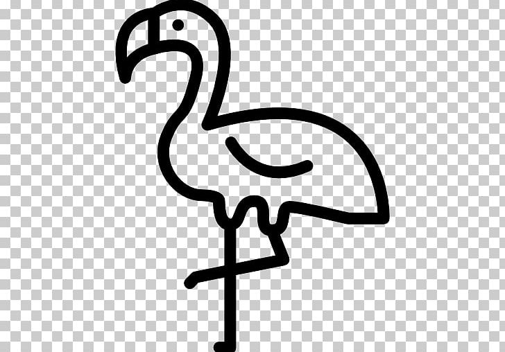 Beak Cygnini Goose Duck PNG, Clipart, Anatidae, Animals, Animal Stork, Area, Artwork Free PNG Download