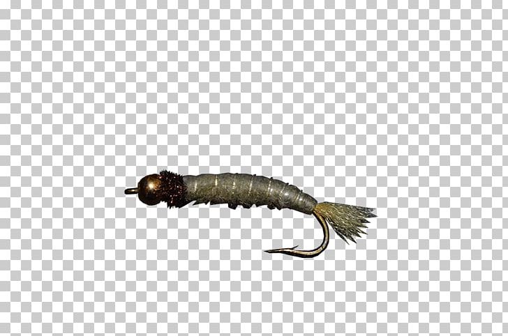 Fly Fishing Crane Fly Crappies Insect PNG, Clipart, Crane Fly, Fishing, Fishing Tackle, Fly, Fly Fishing Free PNG Download