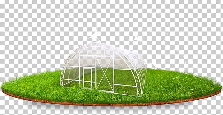 Lawn Product Design Grasses PNG, Clipart, Grass, Grasses, Grass Family, Greenhouse, Lawn Free PNG Download