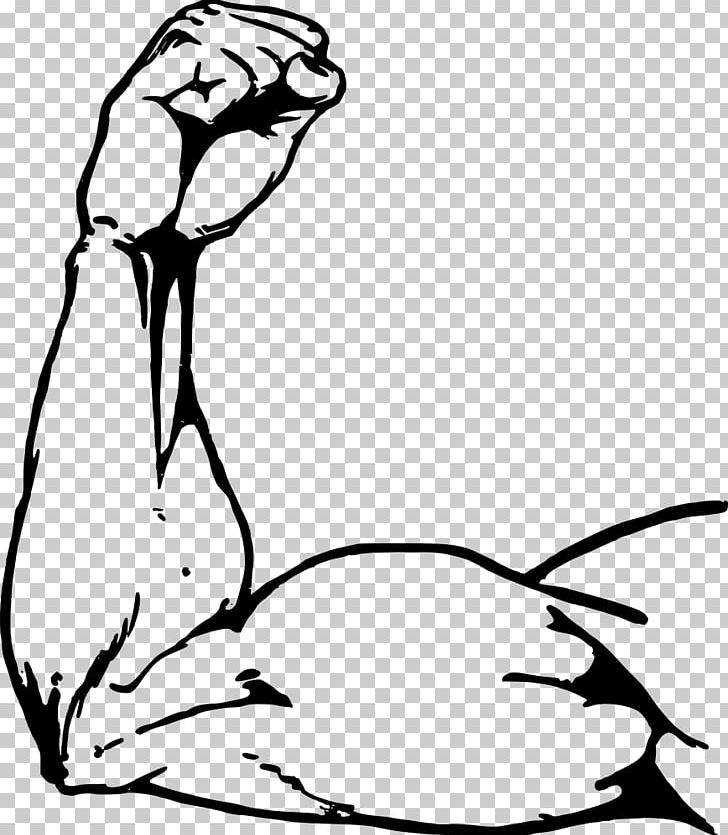 Muscle Arms Muscle Arms Biceps PNG, Clipart, Arm, Art, Artwork, Beak, Biceps Free PNG Download
