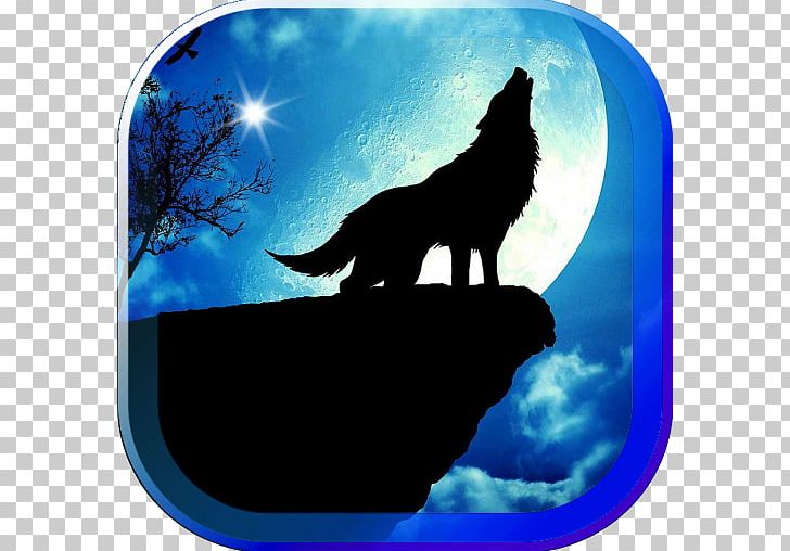 Shoot For The Moon Supermoon Gray Wolf Wolf S PNG, Clipart, Animal, Black Wolf, Computer Wallpaper, Desktop Wallpaper, Earth Free PNG Download
