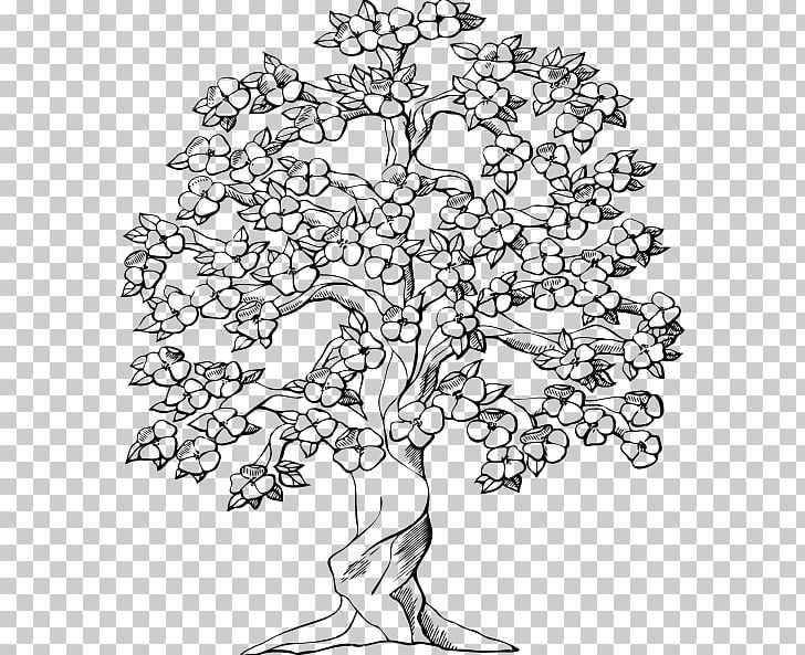 Cherry Blossom Tree Drawing PNG, Clipart, Art, Black And White, Black Cherry, Blossom, Branch Free PNG Download