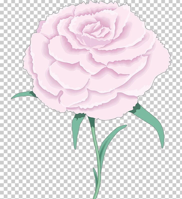 Garden Roses Carnation Flower PNG, Clipart, Camellia, Carnation, Cut Flowers, Drawing, Floral Design Free PNG Download