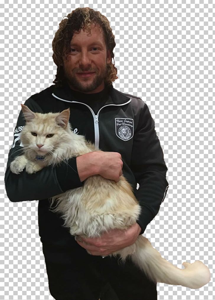 Kenny Omega Cat IWGP Junior Heavyweight Championship Best Of The Super Juniors New Japan Pro-Wrestling PNG, Clipart, Best Of The Super Juniors, Cat, Cat Like Mammal, Domestic Short Haired Cat, Fur Free PNG Download